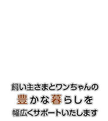 トリミングSTUDIOボブテイルシュウ